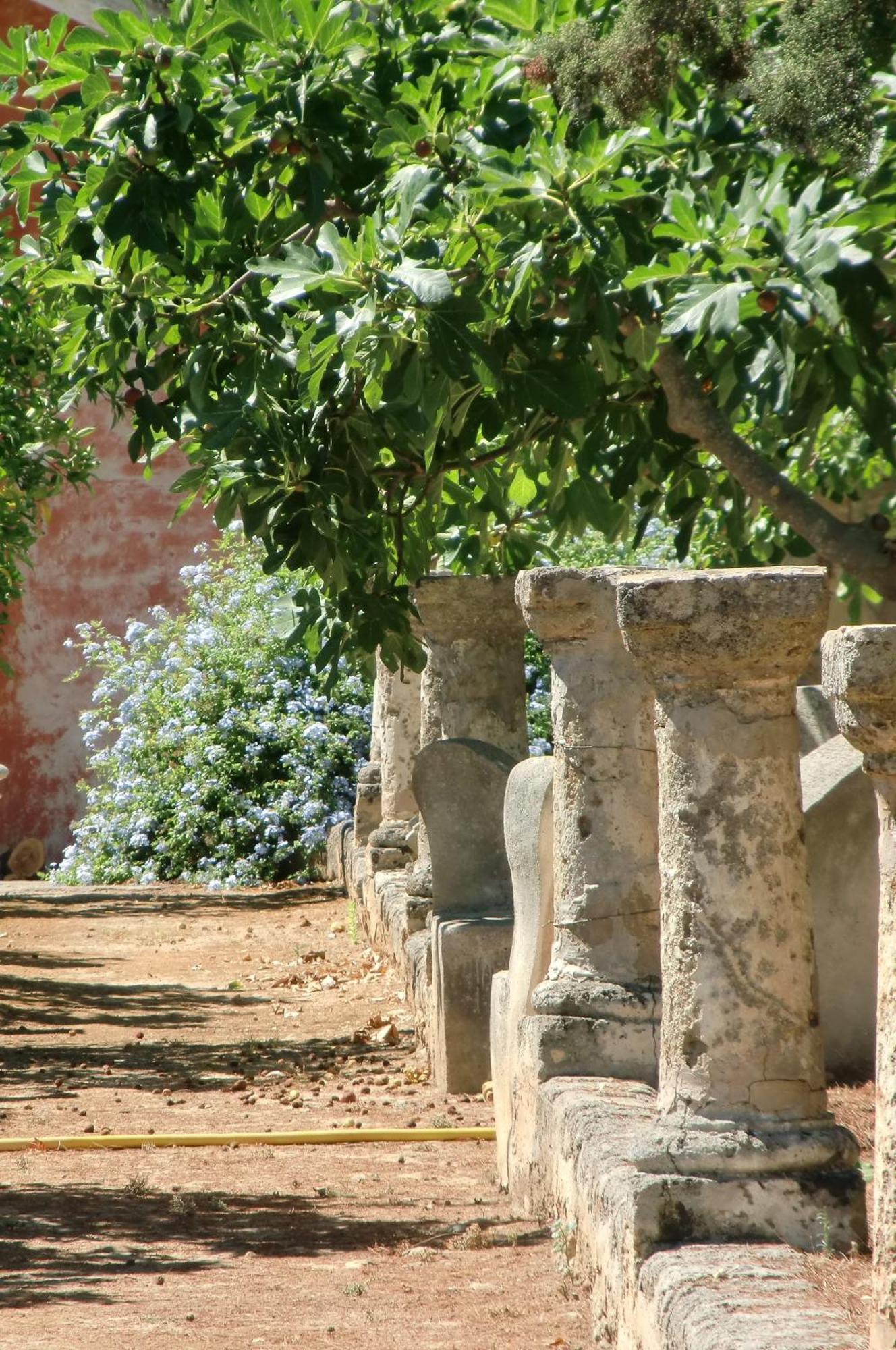 Palazzo Leuzzi B&B ガラトーネ エクステリア 写真